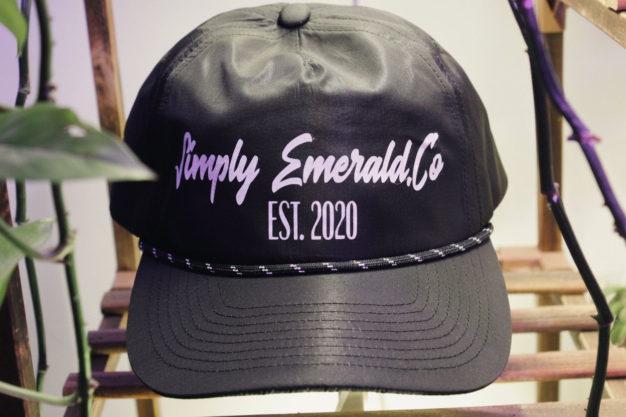 S|E SnapBack